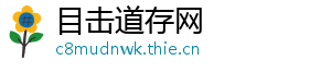 目击道存网